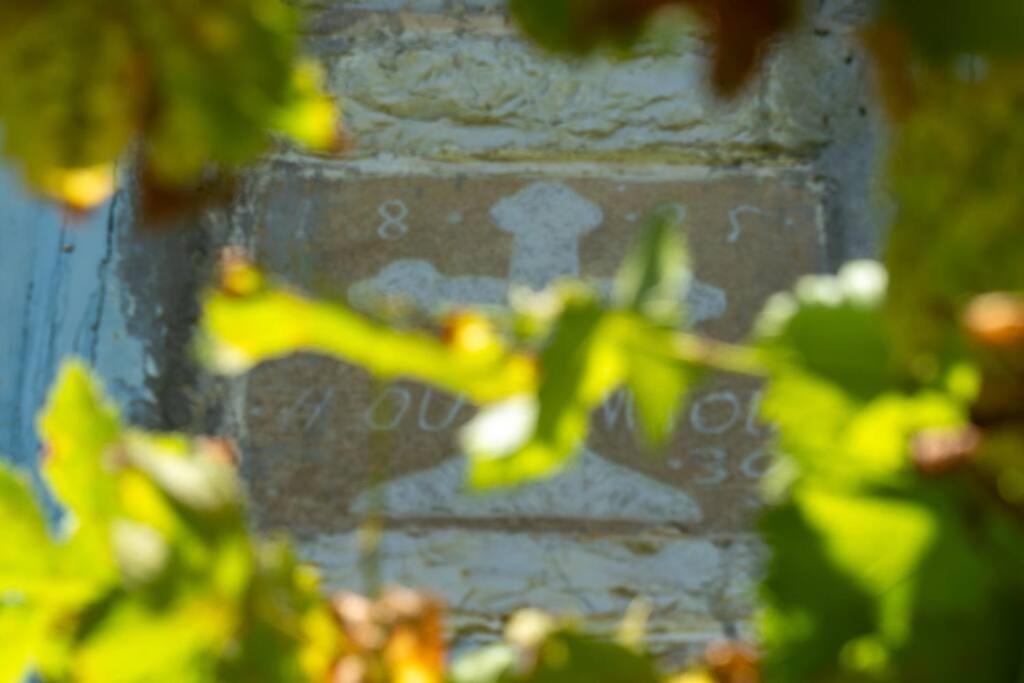 Monodendri Vintage House Villa Dış mekan fotoğraf
